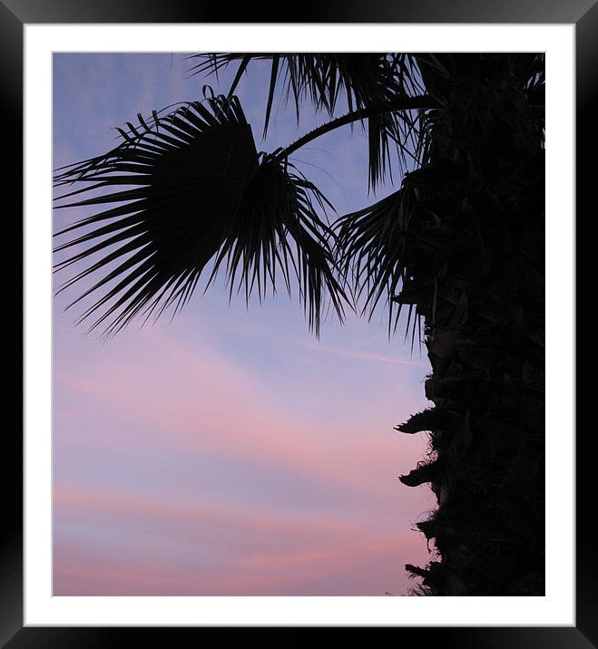Sunset and palm tree Framed Mounted Print by Ruth Hallam