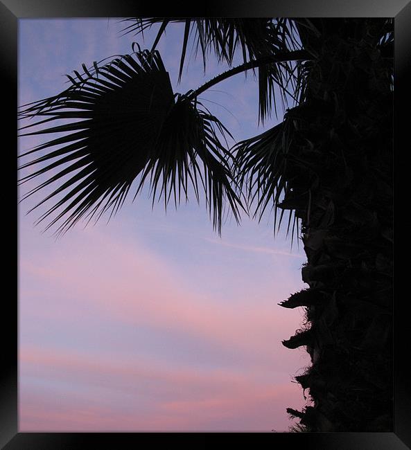Sunset and palm tree Framed Print by Ruth Hallam