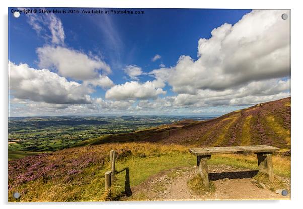  Vale of Clwyd Acrylic by Steve Morris