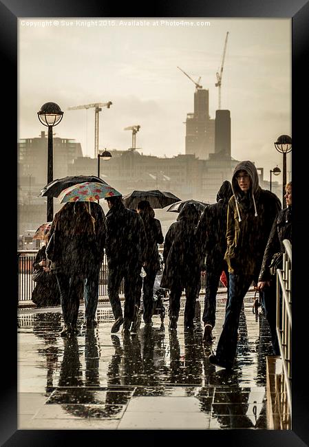  A rainy day in London Framed Print by Sue Knight