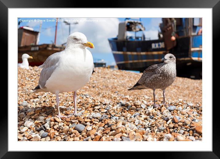 Seagulls at the Stade Framed Mounted Print by Steve Smith