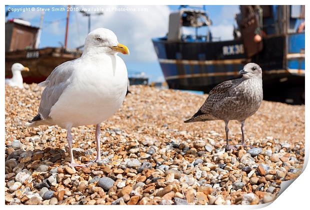 Seagulls at the Stade Print by Steve Smith