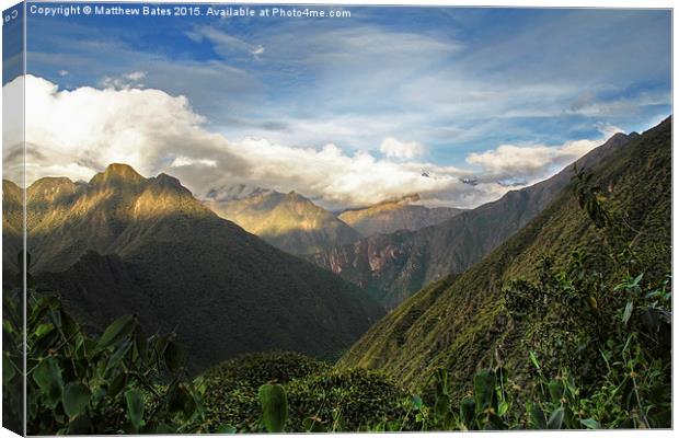Andean mountain forest Canvas Print by Matthew Bates