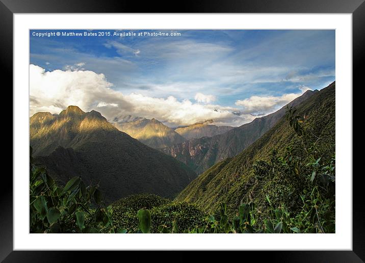 Andean mountain forest Framed Mounted Print by Matthew Bates