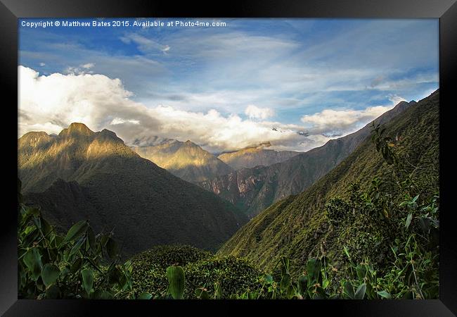 Andean mountain forest Framed Print by Matthew Bates