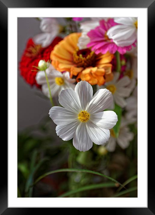 Margaret in front of the field flowers bouquet Framed Mounted Print by Adrian Bud