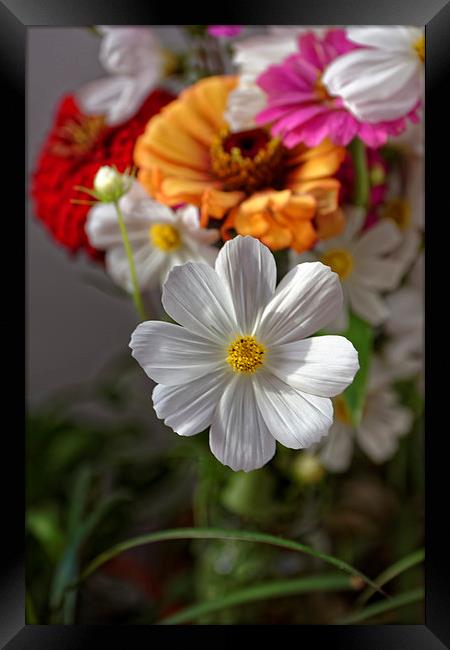 Margaret in front of the field flowers bouquet Framed Print by Adrian Bud