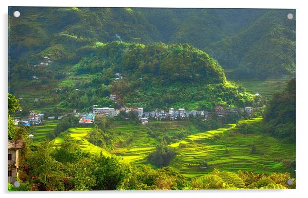  Baguio Rice Terraces Philippines  Acrylic by Clive Eariss