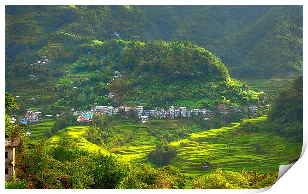  Baguio Rice Terraces Philippines  Print by Clive Eariss