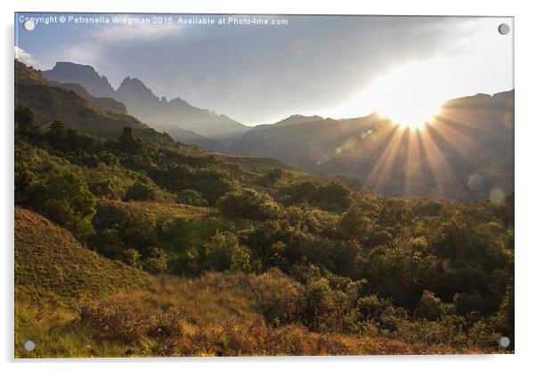  Drakensberg sunset Acrylic by Petronella Wiegman