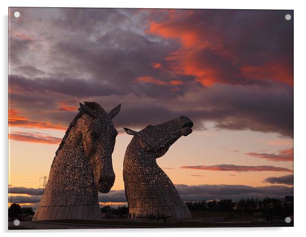  The Kelpies at sunset Acrylic by Tommy Dickson
