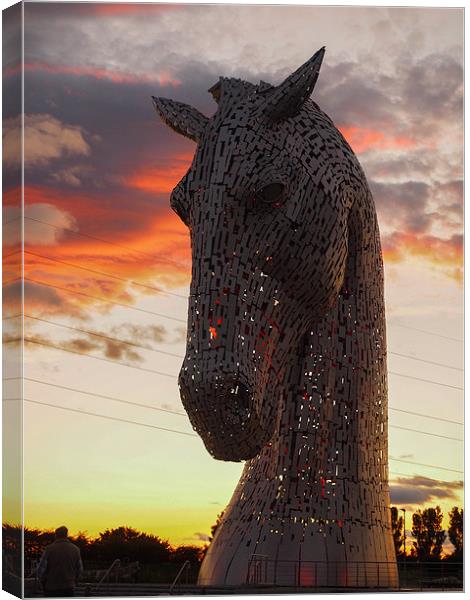  One of the magnificent Kelpie sculptures, near Fa Canvas Print by Tommy Dickson