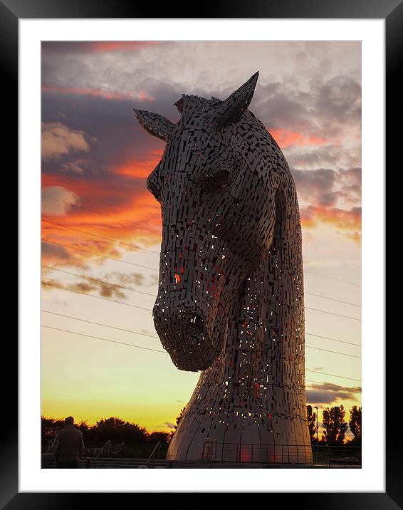  One of the magnificent Kelpie sculptures, near Fa Framed Mounted Print by Tommy Dickson