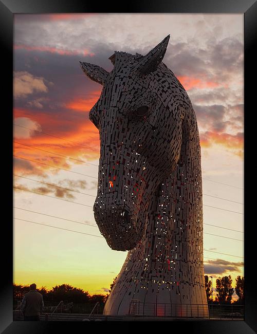  One of the magnificent Kelpie sculptures, near Fa Framed Print by Tommy Dickson