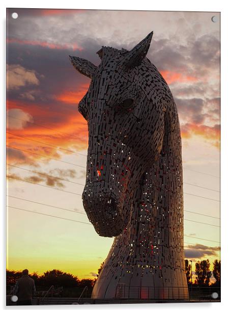  One of the magnificent Kelpie sculptures, near Fa Acrylic by Tommy Dickson