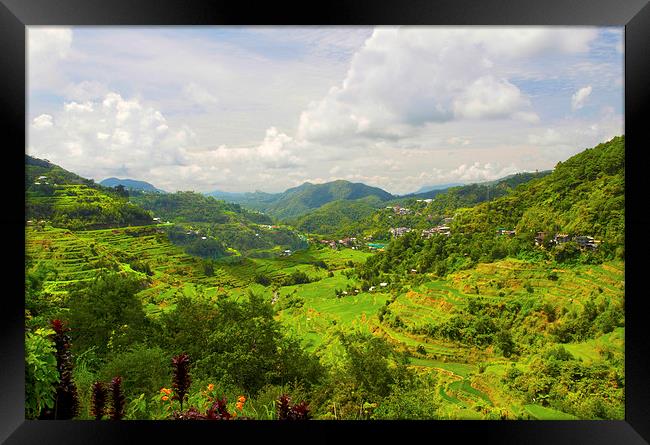  Baguio Rice Terraces 1 Framed Print by Clive Eariss