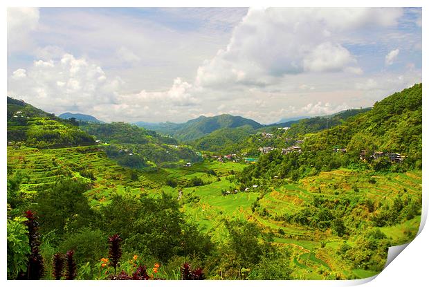  Baguio Rice Terraces 1 Print by Clive Eariss