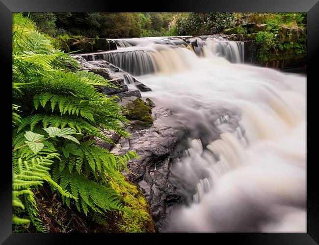  River Carron at Larbert Framed Print by Tommy Dickson