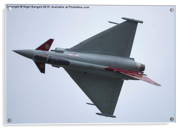  Eurofighter Typhoon Acrylic by Nigel Bangert