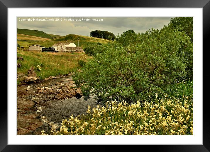  Teesdale Countryside Framed Mounted Print by Martyn Arnold