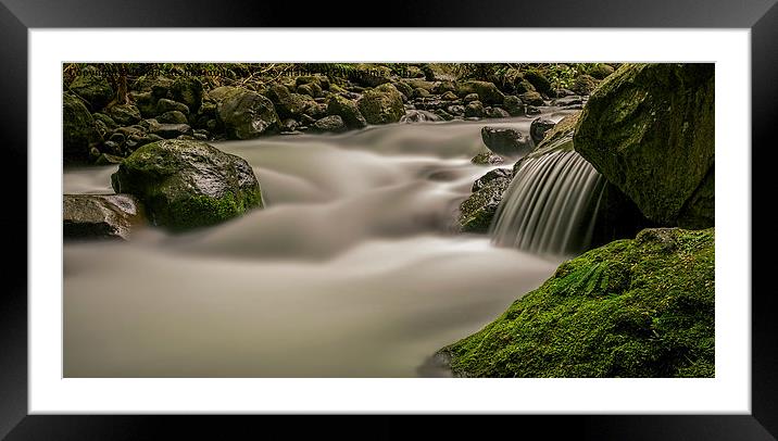  Iao stream in the Iao Valley State Park Framed Mounted Print by David Attenborough