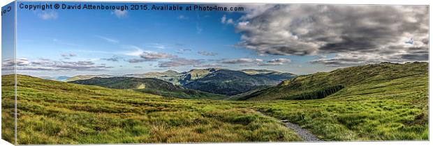 New Galloway Forest Park Panoramic Canvas Print by David Attenborough