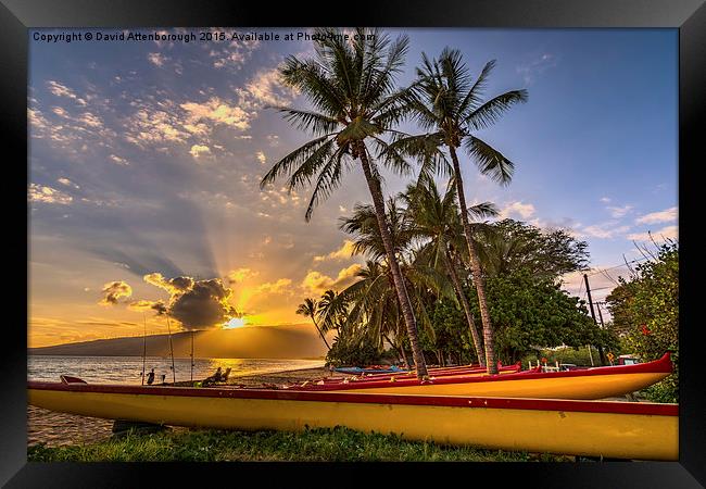  Maui Sunset Framed Print by David Attenborough