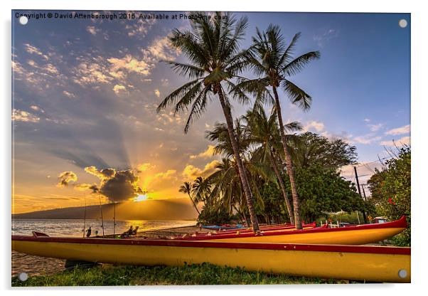  Maui Sunset Acrylic by David Attenborough
