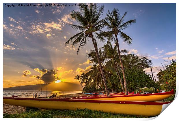  Maui Sunset Print by David Attenborough