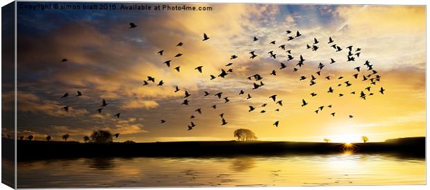 Sunrise with flock of birds Canvas Print by Simon Bratt LRPS