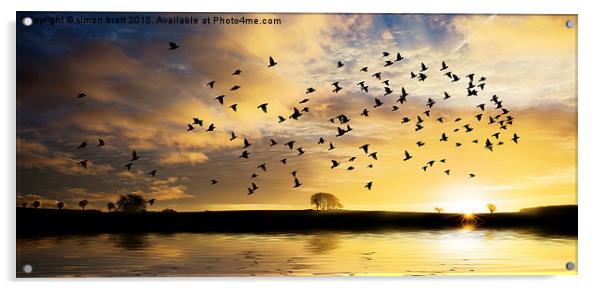 Sunrise with flock of birds Acrylic by Simon Bratt LRPS