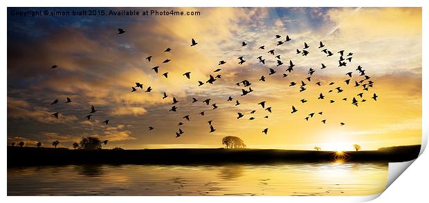 Sunrise with flock of birds Print by Simon Bratt LRPS