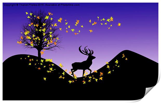  Autumn Stag Print by Thanet Photos