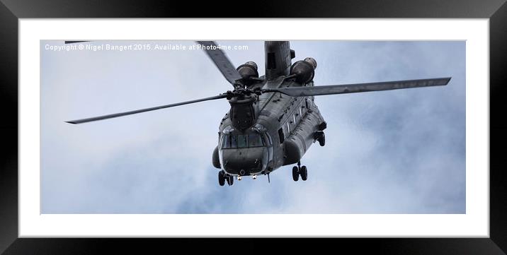 Chinook Helicopter Framed Mounted Print by Nigel Bangert