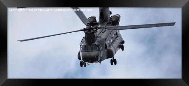 Chinook Helicopter Framed Print by Nigel Bangert
