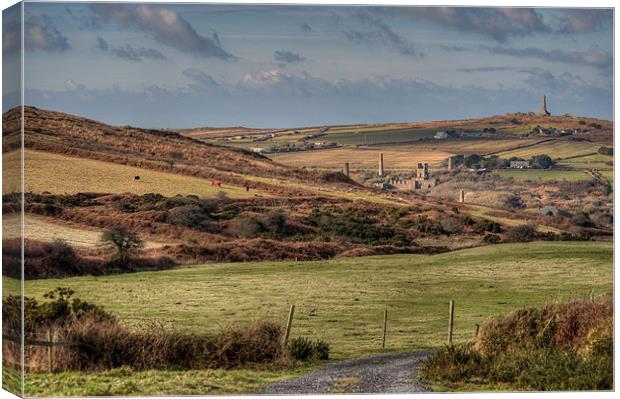 View towards Carn Brea Canvas Print by C.C Photography