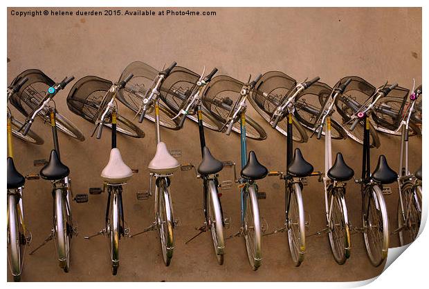  Line of Bicycles  Print by helene duerden