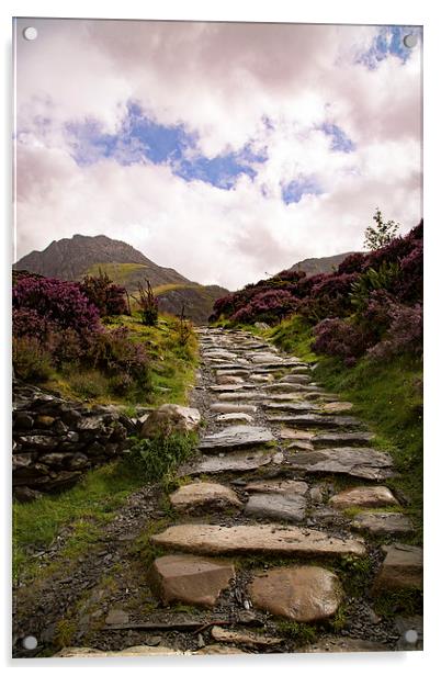  Snowdonia Walk Acrylic by Sean Wareing