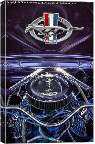  1966 Ford Mustang Canvas Print by Thanet Photos