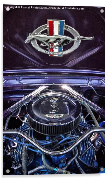  1966 Ford Mustang Acrylic by Thanet Photos