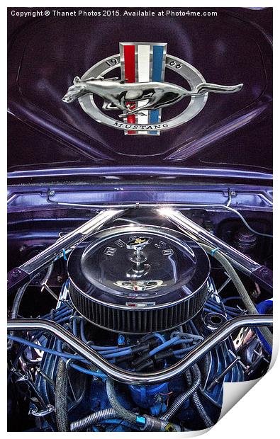  1966 Ford Mustang Print by Thanet Photos