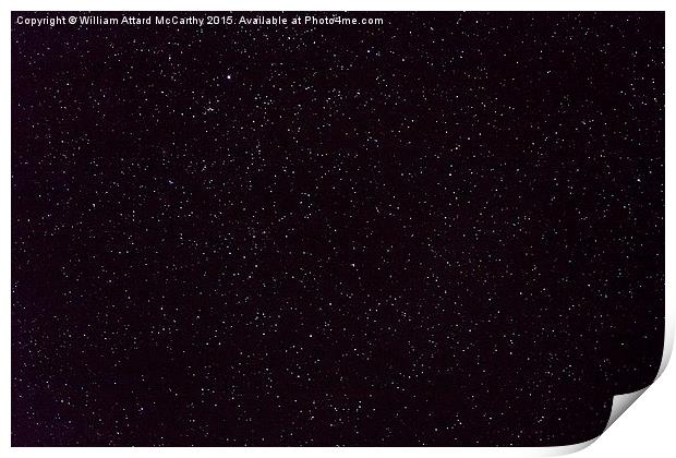 Cygnus Wide Field Print by William AttardMcCarthy