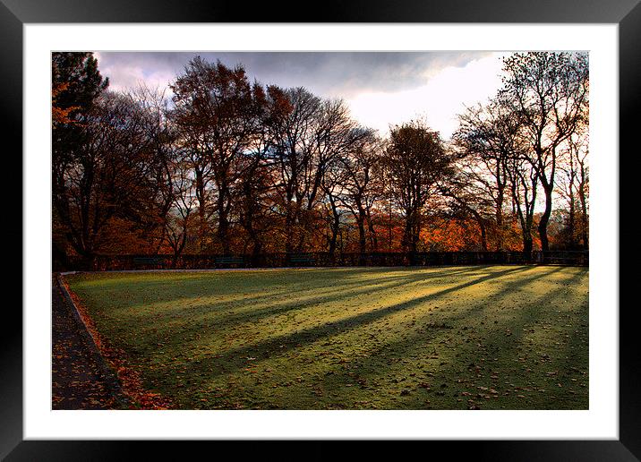  Morning Shadows Framed Mounted Print by Irene Burdell