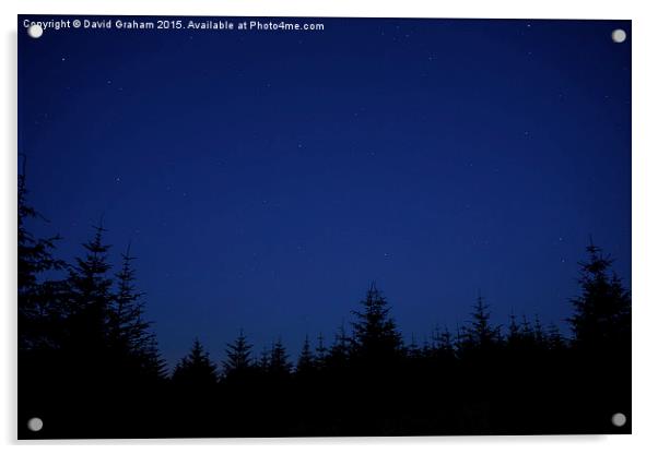 Nights sky above the tree line Acrylic by David Graham