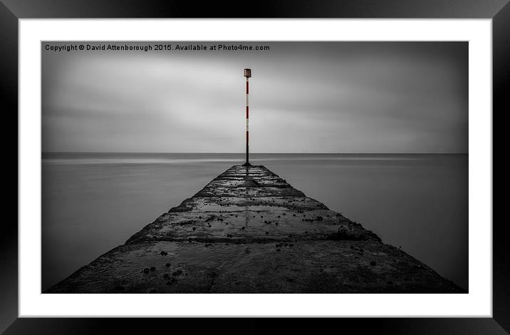 The Red End Framed Mounted Print by David Attenborough