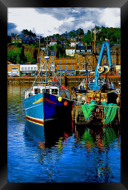 Oban Harbour Framed Print by Tommy Reilly