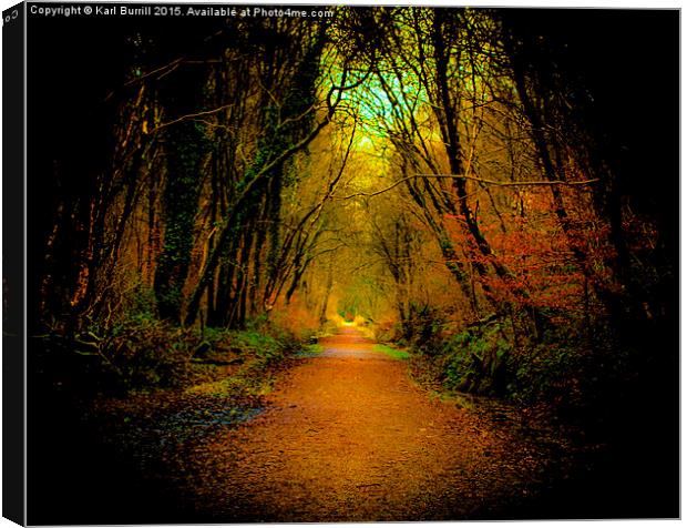  Red Path Canvas Print by Karl Burrill