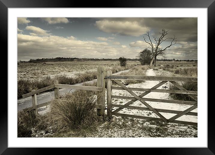 Marsh Gate at Oulton Broad Framed Mounted Print by Stephen Mole