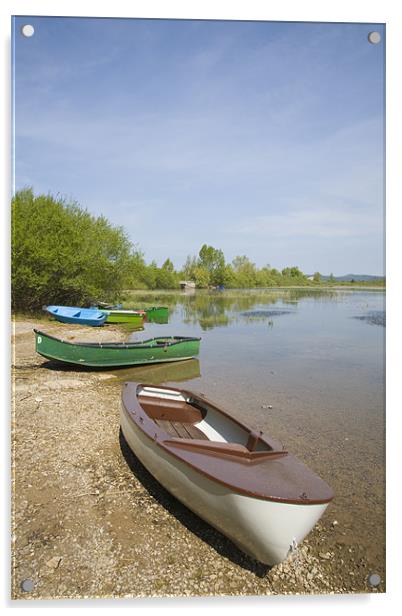Cerknica Lake, seasonal lake in Slovenia Acrylic by Ian Middleton