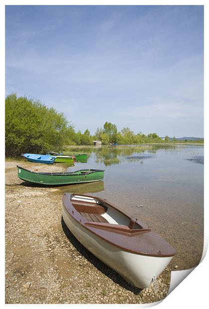 Cerknica Lake, seasonal lake in Slovenia Print by Ian Middleton